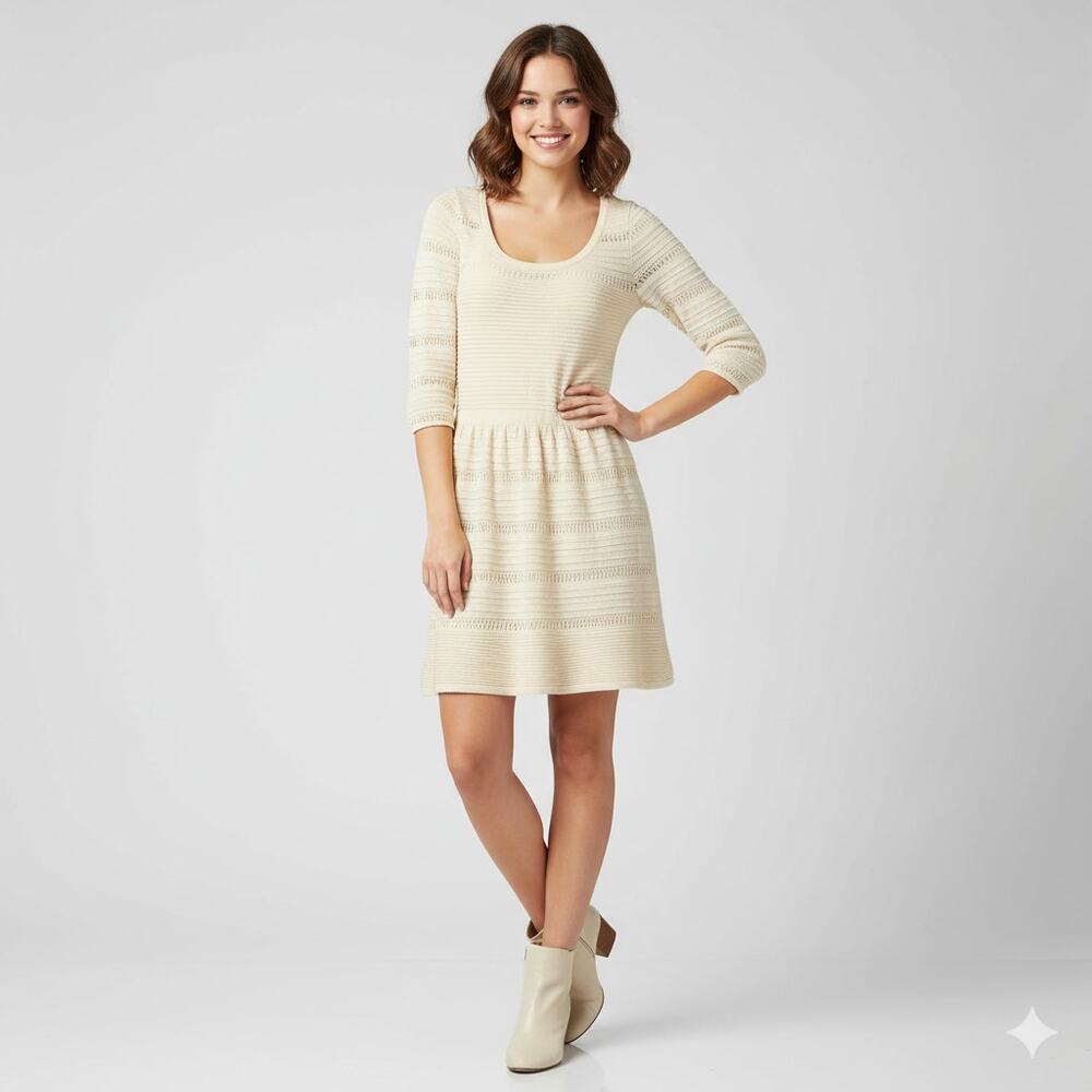 NWT American Eagle Short Crochet Cotton Fit & Flare Mini Dress Ivory Size Small